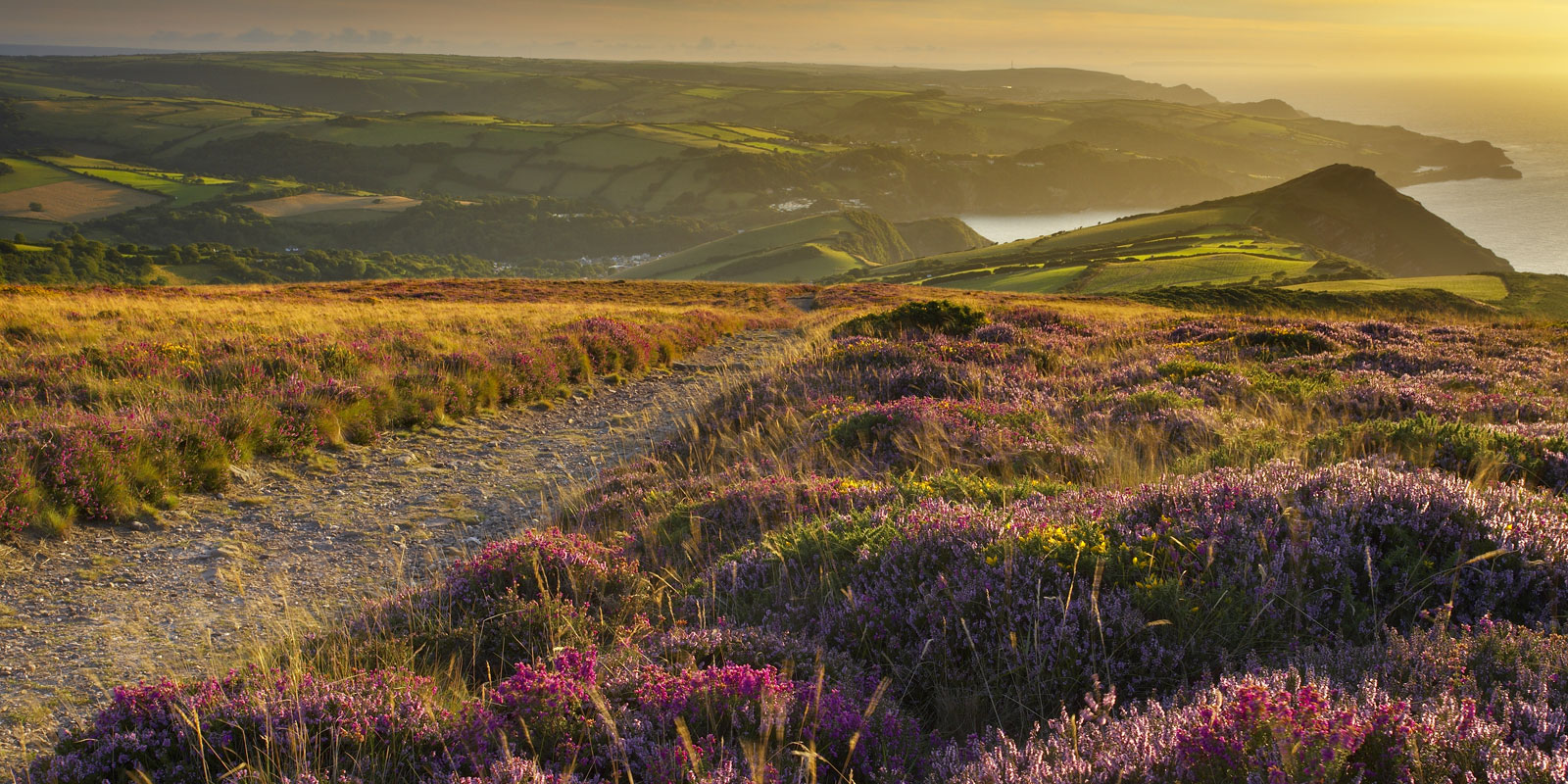 national trust annual report 2013/14